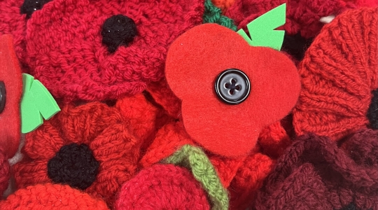 Poppy Remembrance