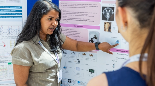 A student presenting a research poster to another student.