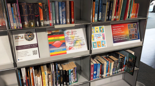 Photograph of the Outside In World collection of childrens' books in translation, showcasing stories that focus on the experience of diversity, oppression, self-knowledge and connection