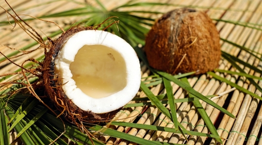 A halved coconut with palm leaves
