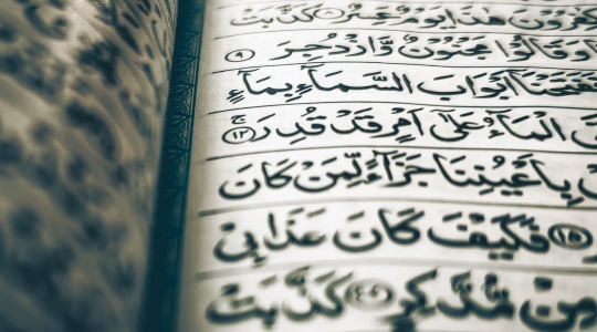 Arabic text- from Pexels, https://www.pexels.com/photo/close-up-of-arabic-script-in-religious-text-35205765/