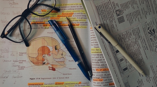 Annotated anatomy textbook with revision notes - from Pexels, https://www.pexels.com/photo/study-materials-on-human-skeletal-system-37065064/