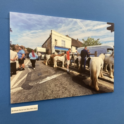 Wickham Horse Fair - 20 May 2025