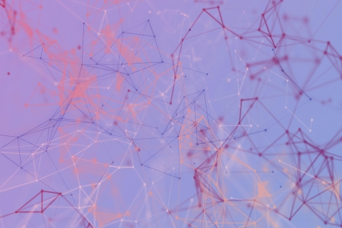 Networks