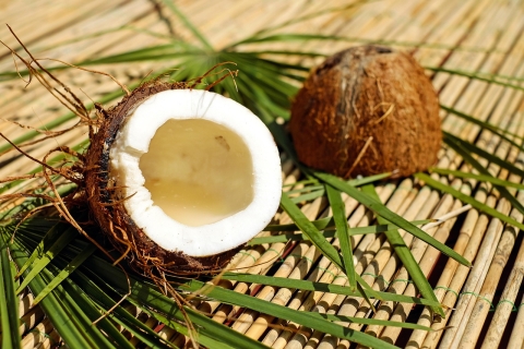 A halved coconut with palm leaves