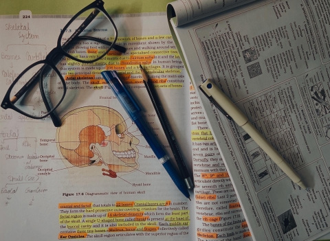Colourful revision workbook with highlighting and labelled diagrams - from Pexels, https://www.pexels.com/photo/study-materials-on-human-skeletal-system-37065064/