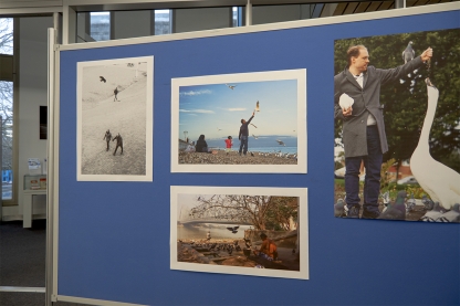 Photographs of people and birds interacting