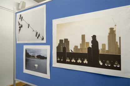 Photographs of birds on a wire, natural and urban landscapes