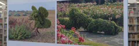 Topiary costumes worn on Southsea beach
