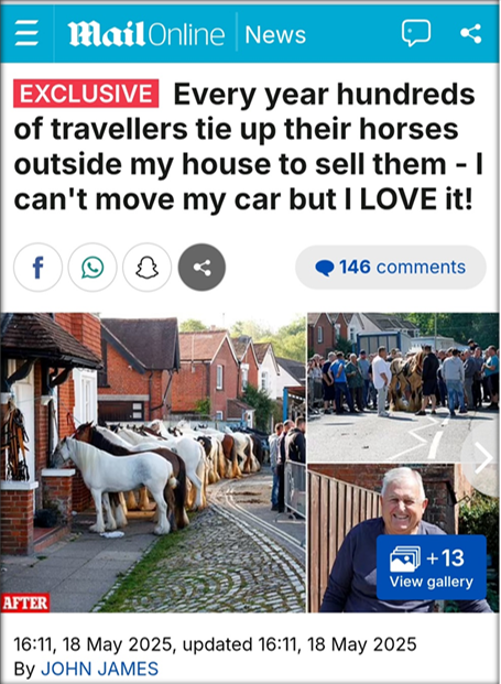 Positive headline about the horse fair in The Daily Mail