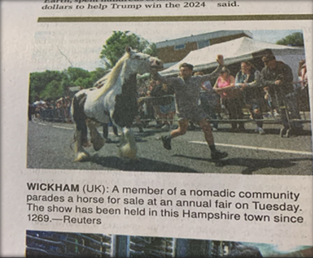 Article about the horse fair in Dawn newspaper