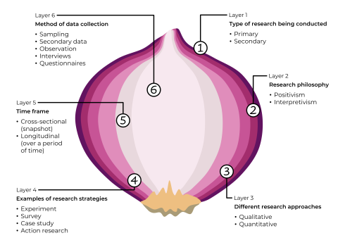 Illustration of a halved red onion representing the research onion model, with six numbered layers from outer to inner. Layer 1, Type of research: primary, secondary. Layer 2, Research philosophy: positivism, interpretivism. Layer 3, Research approach: qualitative, quantitative. Layer 4, Research strategies: experiment, survey, case study, action research. Layer 5, Time frame: cross-sectional, longitudinal. Layer 6, Data collection method: sampling, secondary data, observation, interviews, questionnaires.
