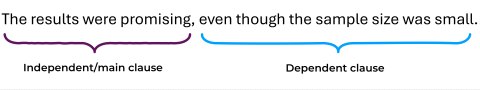 The sentence 'The results were promising, even though the sample size was small.' The words 'The results were promising' are labelled 'Independent/main clause' with a purple bracket. The words 'even though the sample size was small' are labelled 'Dependent clause' with a blue bracket.